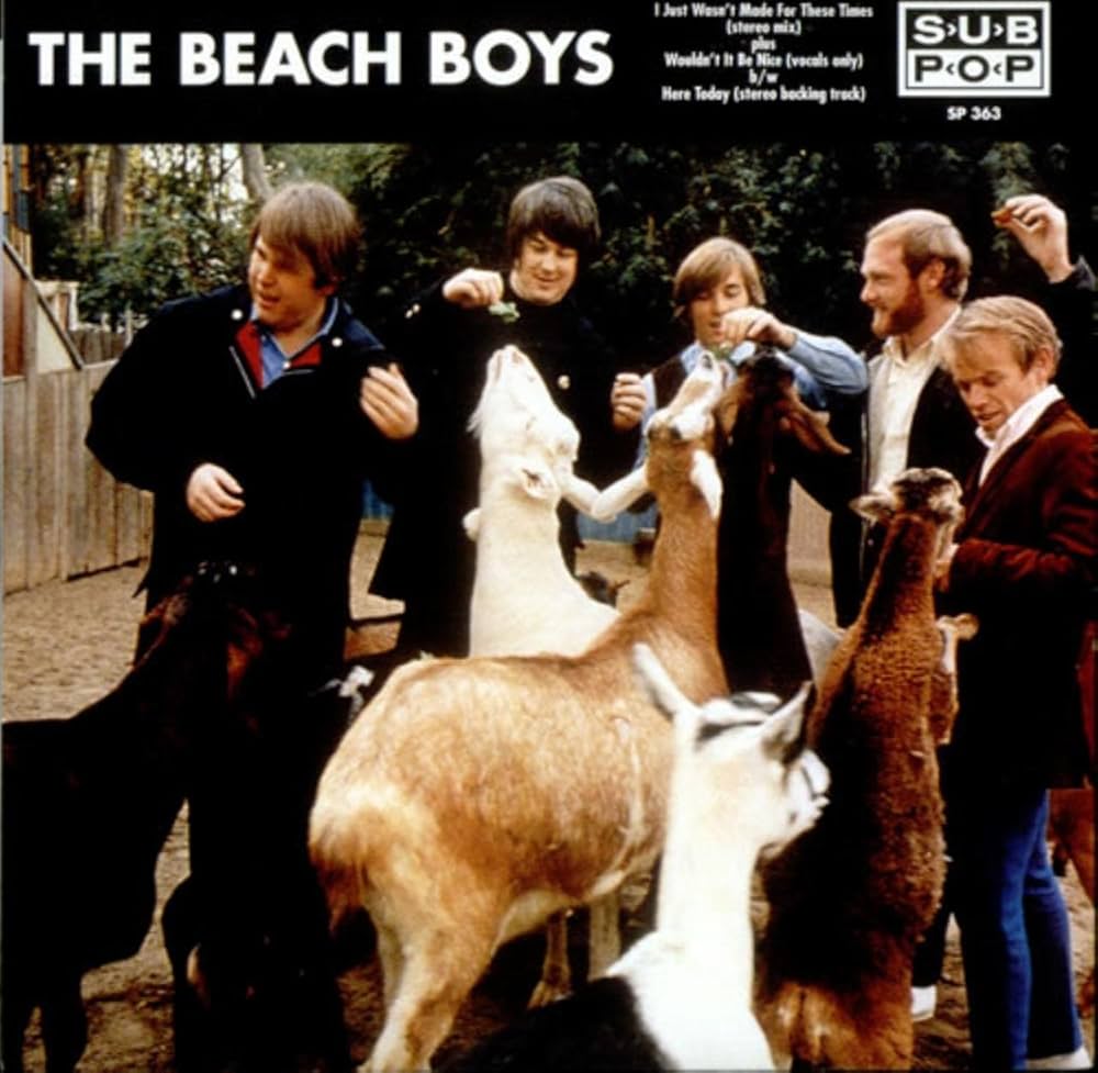 Amazon.co.jp: I Just Wasn't Made For These Times: ミュージック